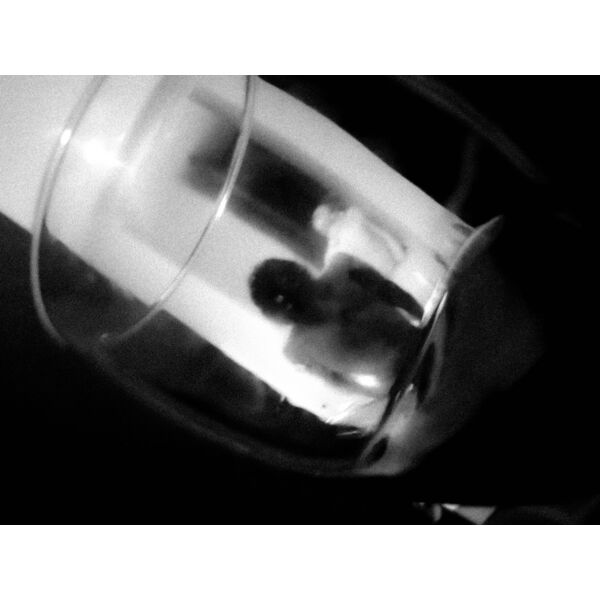 eclipse  4 of 4  Thumbnail